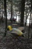 2008-03-15 3D Torgon